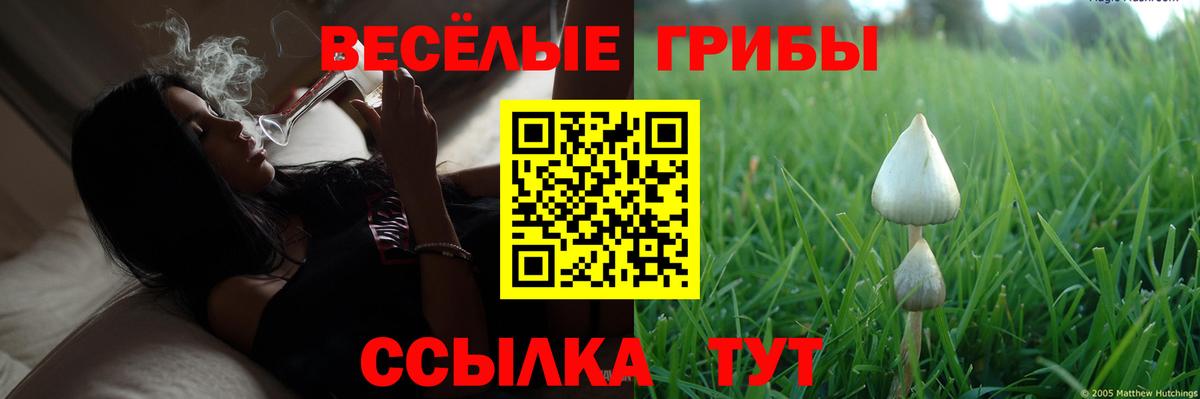 Галлюциногенные грибы мицелий Железногорск